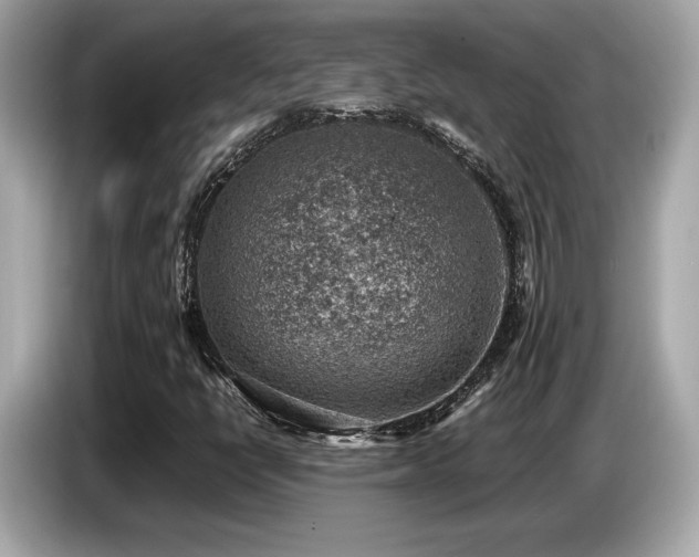 X0000087051398200704181227