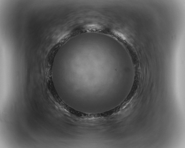 X0000087051399200704181227