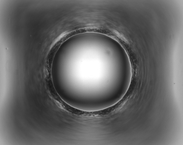X0000087051400200704181227
