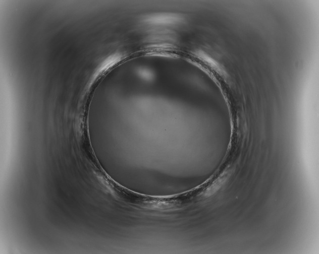 X0000087051405200704181227