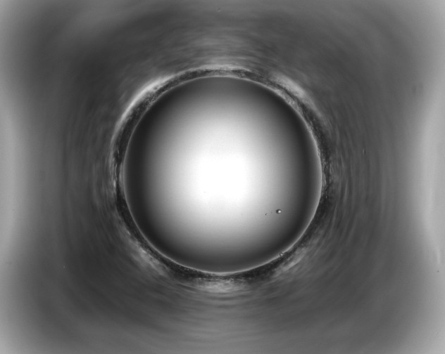 X0000087051408200704181227