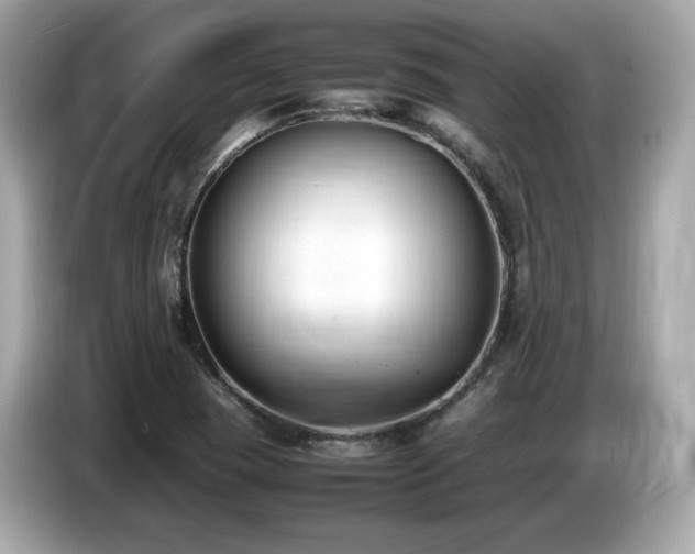 X0000087051409200704181227