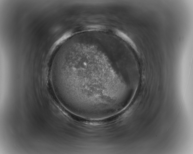 X0000087051411200704181227