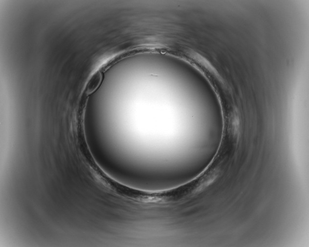 X0000087051412200704181227