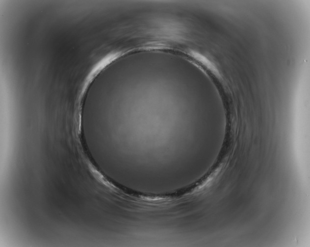 X0000087051413200704181227
