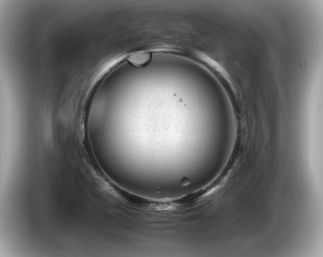 X0000087051415200704181227