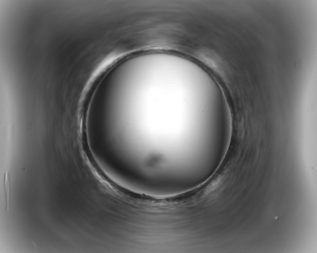 X0000087051416200704181227