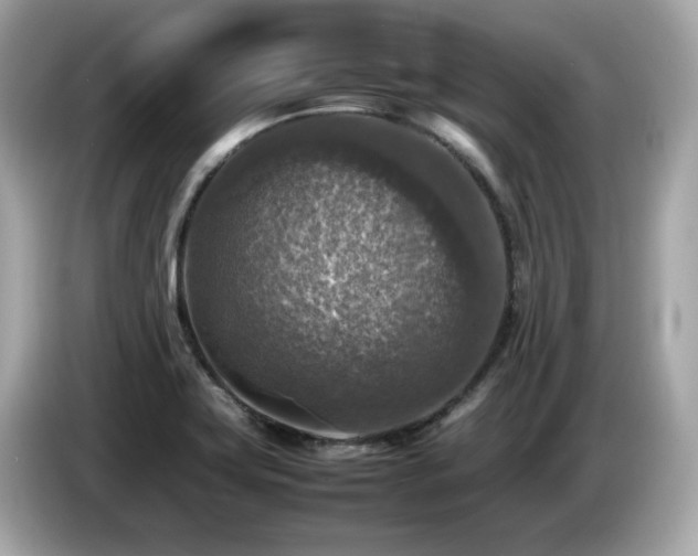 X0000087051419200704181227