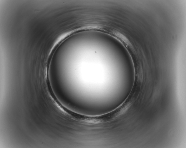 X0000087051420200704181227