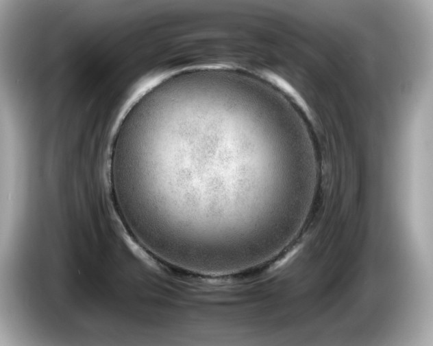 X0000087051421200704181227