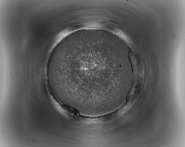 X0000087051422200704181227