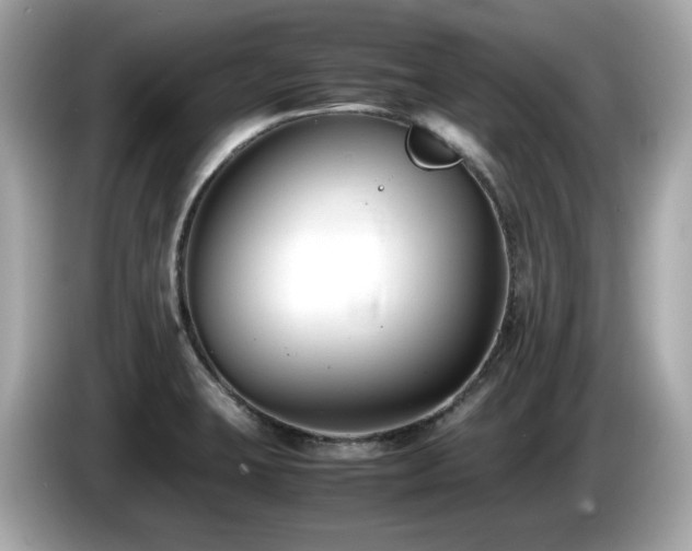 X0000087051423200704181227