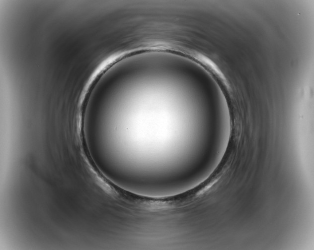 X0000087051424200704181227
