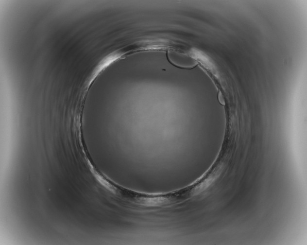 X0000087051425200704181227
