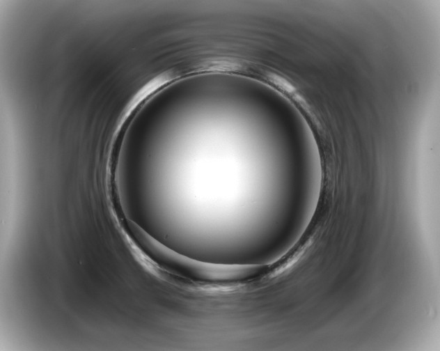 X0000087051426200704181227