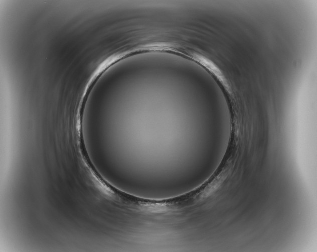 X0000087051428200704181227