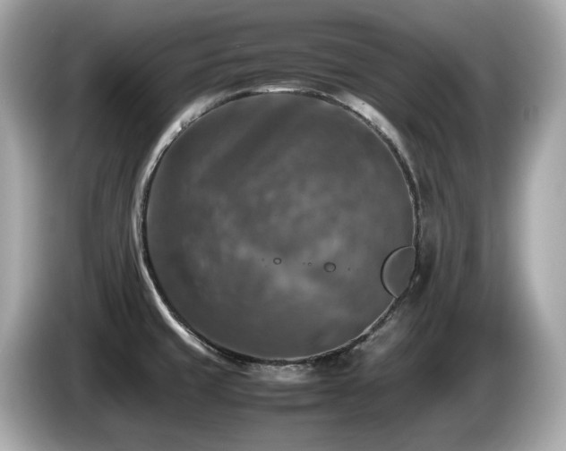 X0000087051429200704181227