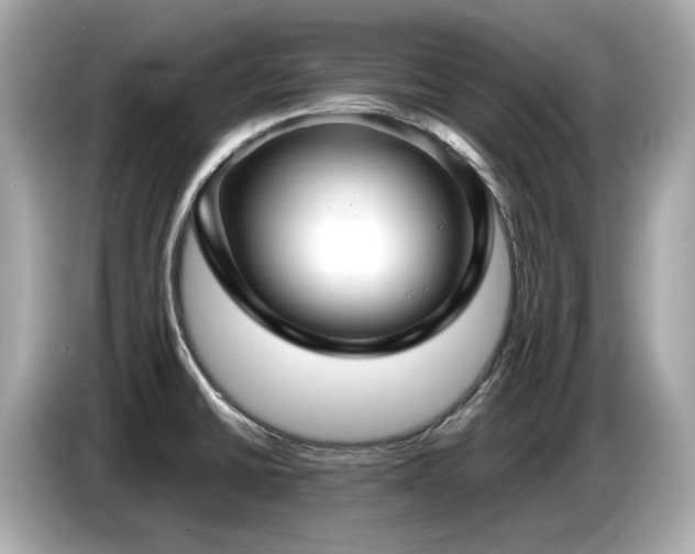 X0000087051430200704181227