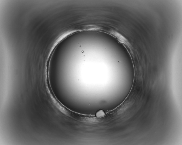 X0000087051431200704181227