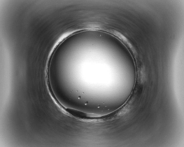 X0000087051432200704181227