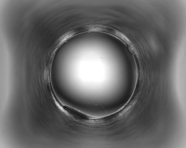 X0000087051433200704181227