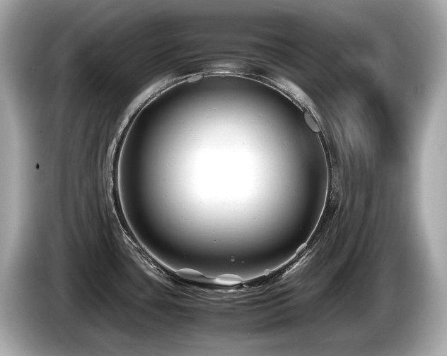 X0000087051435200704181227
