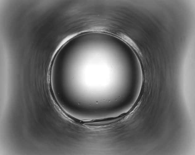 X0000087051436200704181227