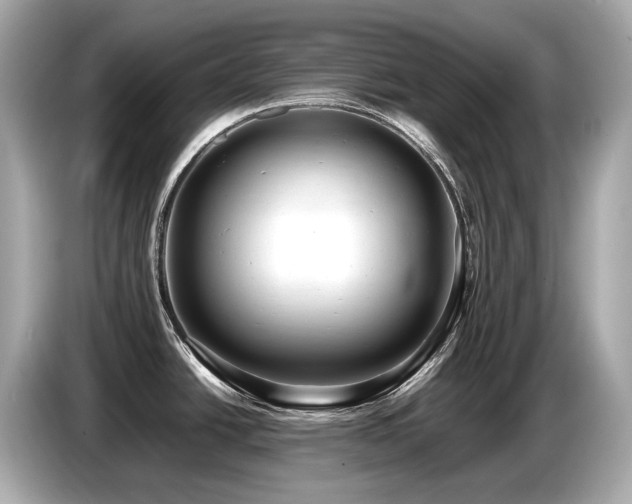 X0000087051438200704181227