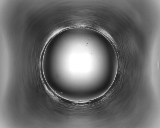 X0000087051439200704181227