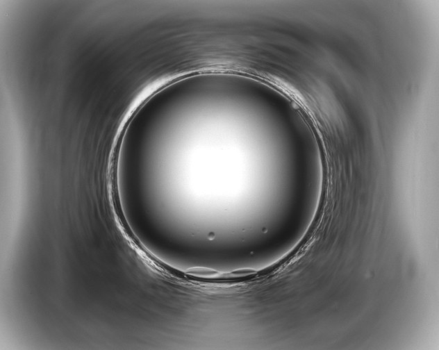 X0000087051440200704181227