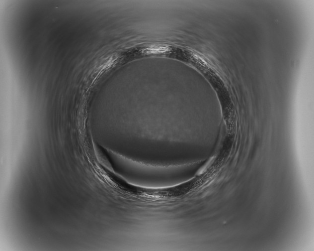 X0000087051441200704181227