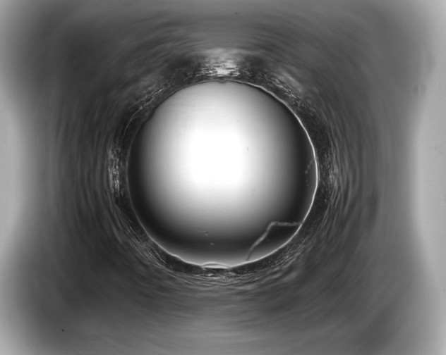 X0000087051442200704181227