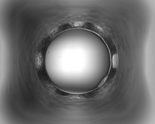 X0000087051443200704181227