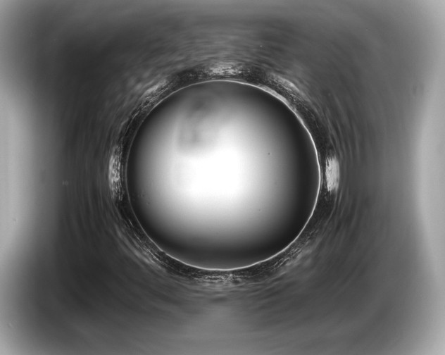 X0000087051444200704181227