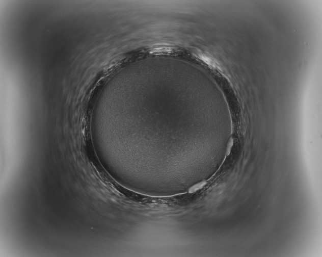 X0000087051445200704181227