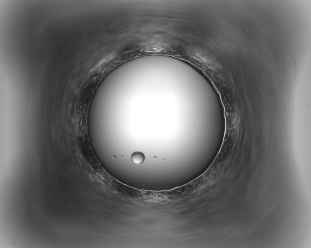 X0000087051446200704181227