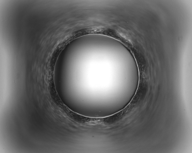 X0000087051447200704181227