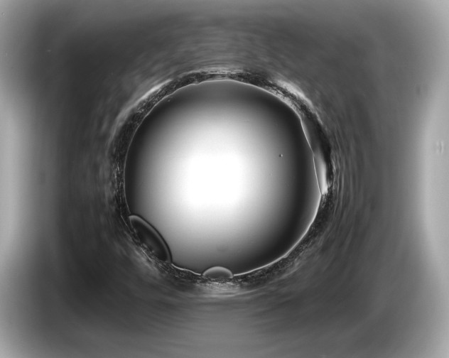 X0000087051448200704181227