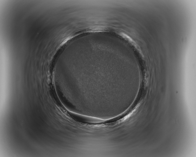 X0000087051449200704181227