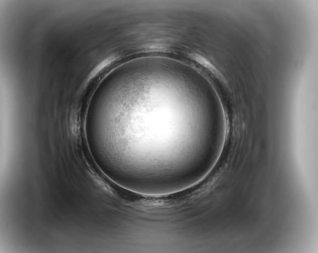 X0000087051450200704181227