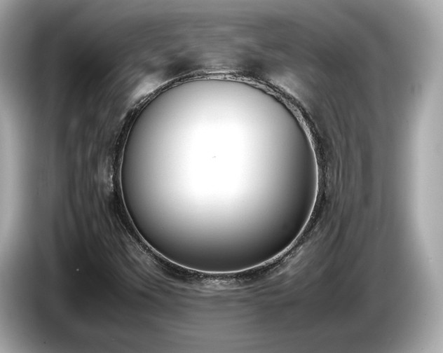 X0000087051451200704181227