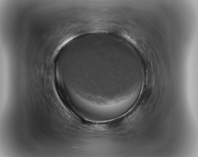 X0000087051453200704181227