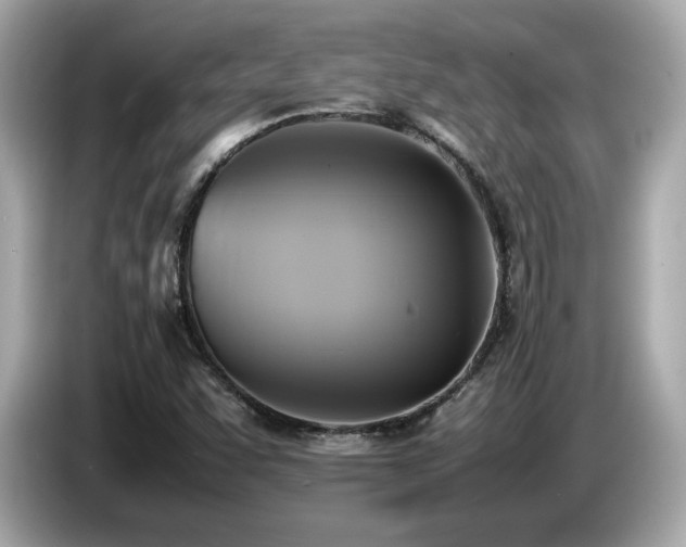 X0000087051455200704181226