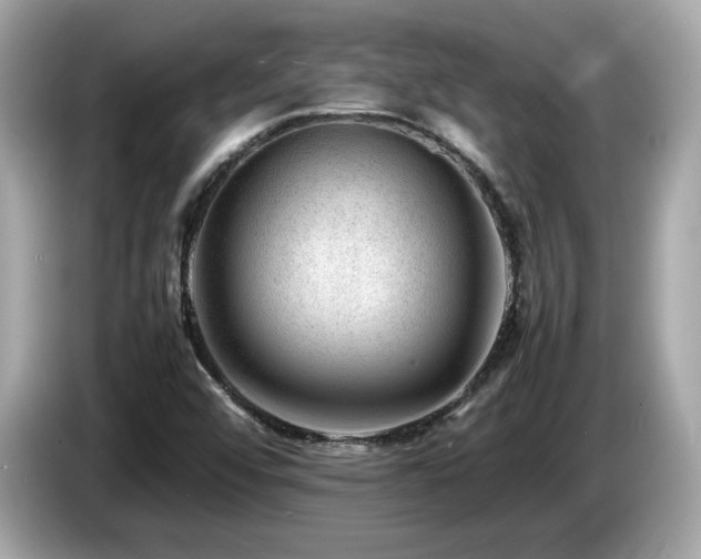 X0000087051456200704181226