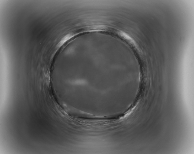 X0000087051457200704181226