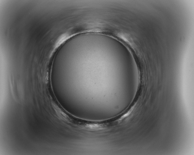 X0000087051459200704181226