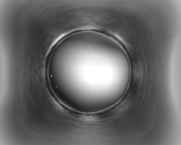 X0000087051460200704181226