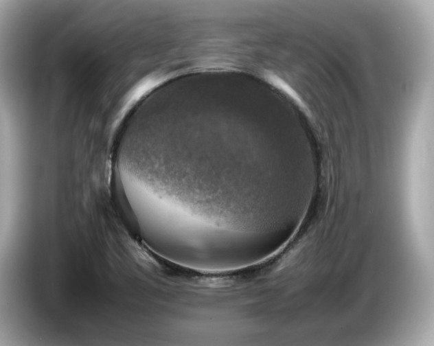 X0000087051461200704181226