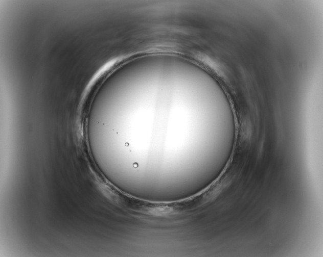 X0000087051462200704181226