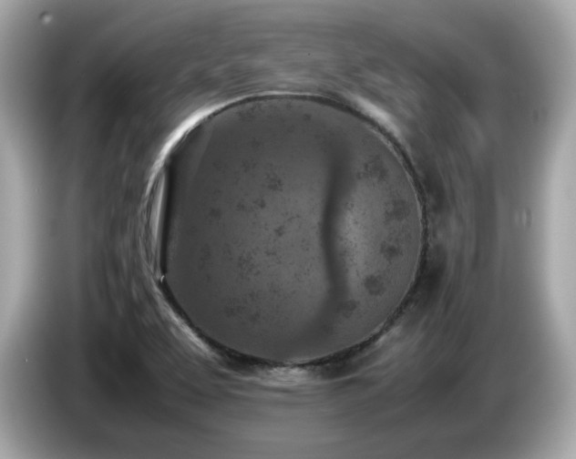 X0000087051463200704181226